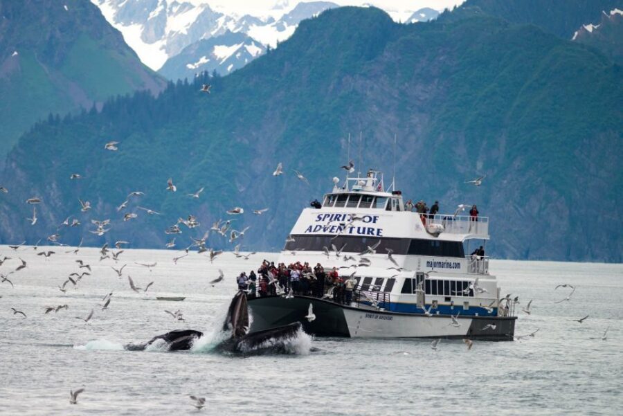 From Seward: Kenai Fjords National Park Cruise with Lunch - The Two Glacier Stops: Aialik and Holgate Up Close