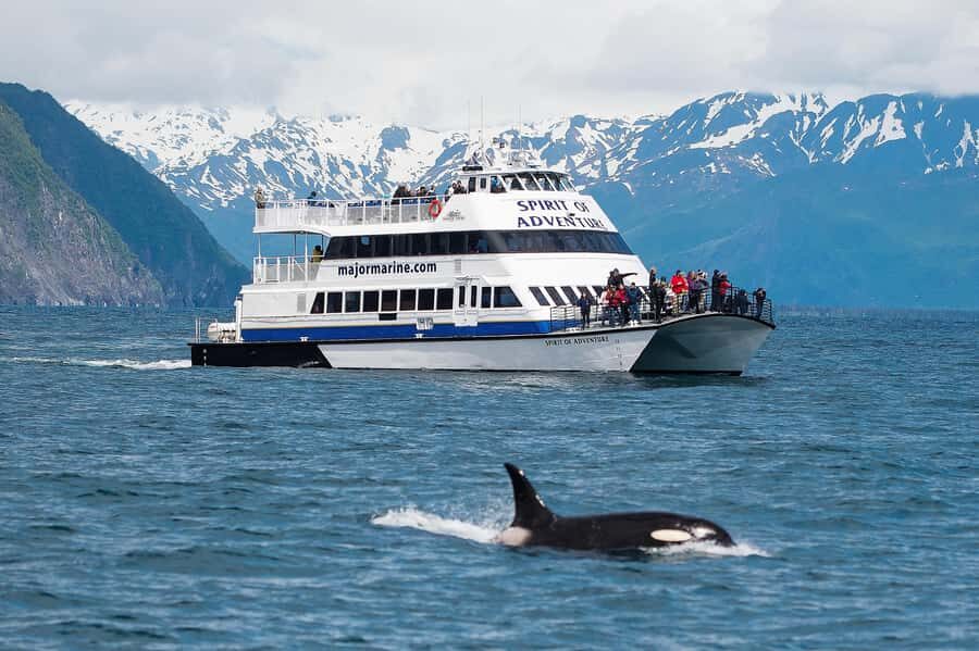 From Seward: Kenai Fjords National Park Cruise with Lunch - Why 7.5 Hours Works: Catamaran Speed With Real Viewing Time