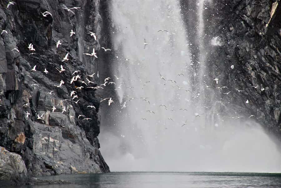 From Whittier: Glacier Quest Cruise with Onboard Lunch - Calving time: watching the ice crash with thunderous sound