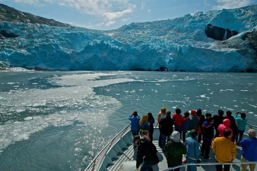 From Whittier: Glacier Quest Cruise with Onboard Lunch - Wildlife spotting: sea otters, seals, eagles, and more