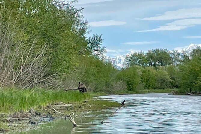Full Day Guided Kayak Tour on Knik River - Kayak vs SUP: picking the right balance for your comfort
