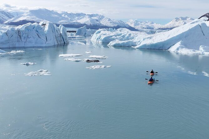 Glacier Blue Kayaking – Knik Glacier Day Tour from Anchorage - The 8:30am Start: Pickup That Lets You Actually Enjoy the Day