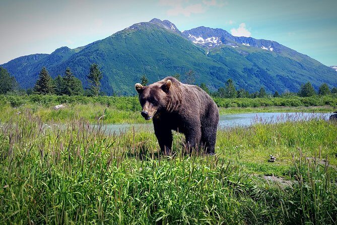 Glacier Hike on Matanuska Glacier - Best Vacation Value - Price and value: is $325 a good deal?