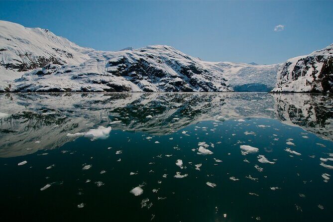 Glacier Quest Cruise and Coach Package - Price and Value: What You’re Really Paying For