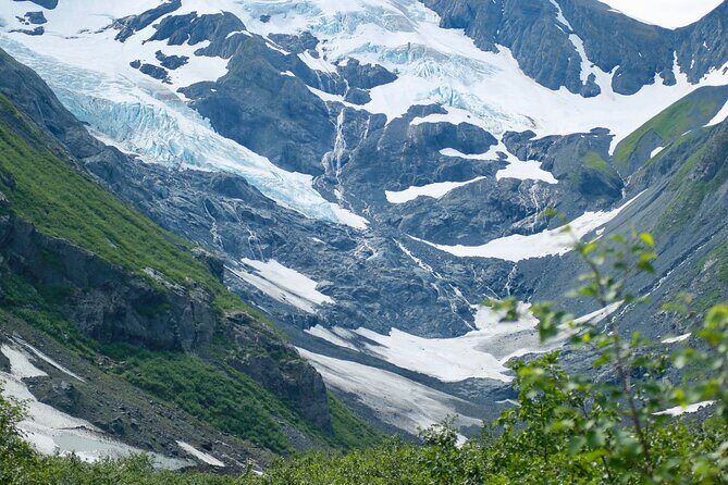 Glacier View & Wildlife Anchorage Adventure Tour - Alaska Wildlife Conservation Center: Your Best Odds at Bears, Moose, and Elk