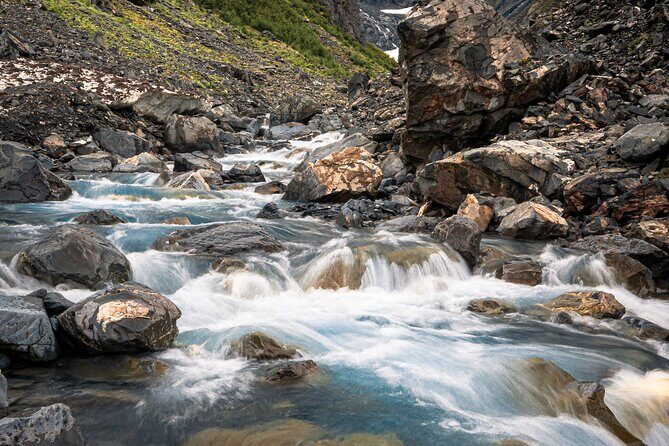 Glacier View & Wildlife Anchorage Adventure Tour - Comfort, Weather Reality, and the One Thing to Watch: Where You Sit