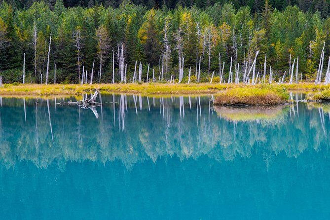 Glacier & Wildlife Discovery Tour - Portage Glacier: the main event, minus the guesswork