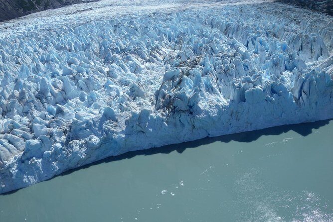 Glacier & Wildlife Discovery Tour - The small-group feel: up close, not stuck on a loop