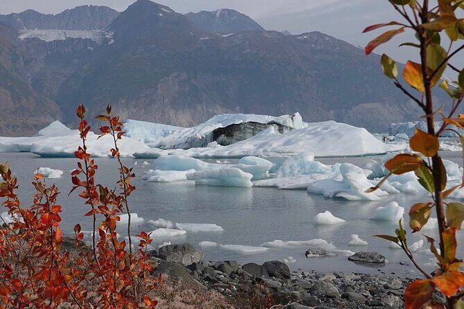 Grand Knik Helicopter Tour - 2 hours 3 landings - ANCHORAGE AREA - Who should book (and who should think twice)