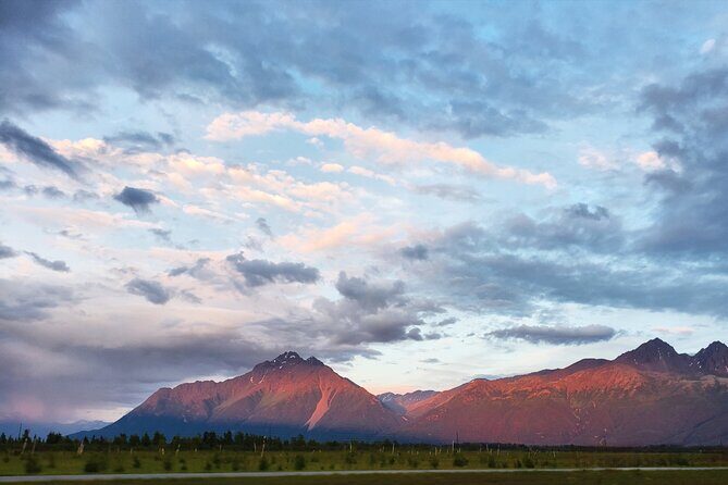 Guided Tour of Musk Ox Farm & Scenic Drive from Anchorage - A Short Anchorage Escape Up the Knik Arm to the Matanuska Valley