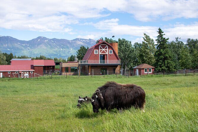 Guided Tour of Musk Ox Farm & Scenic Drive from Anchorage - Musk Ox Farm Walking Tour: What You Actually Get in One Hour