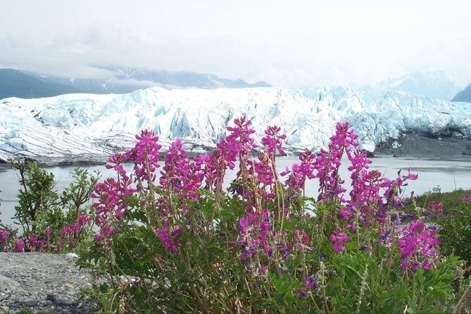 Matanuska Glacier Summer Tour - Matanuska Glacier by road: why this hike is so doable