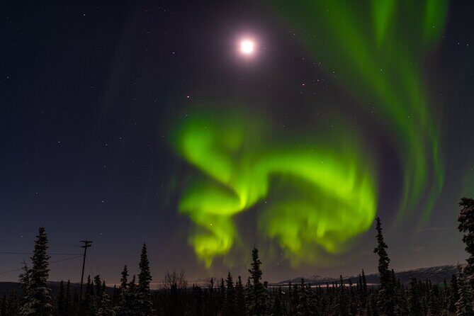 Northern Lights Adventure of a Liftetime from Anchorage - The Waiting Game: Warmth, Snacks, and Staying Ready for the Show