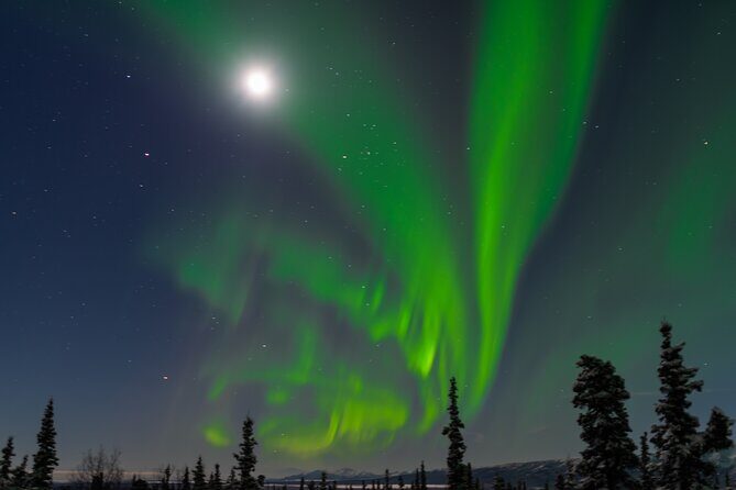 Northern Lights Adventure of a Liftetime from Anchorage - Transportation, Group Size, and the Real Meaning of Small-Group Value