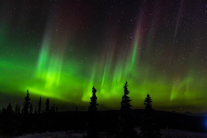 Northern Lights Adventure of a Liftetime from Anchorage - Who This Northern Lights Tour Fits Best