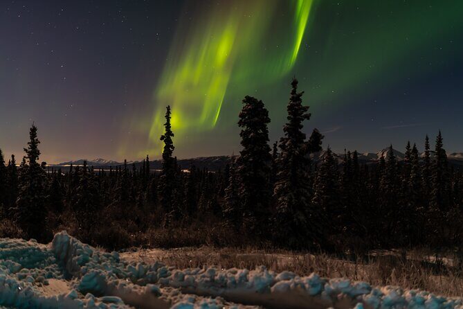 Northern Lights Adventure of a Liftetime from Anchorage - Where You Go for Darker Skies (and Why It’s Not Just a Drive)