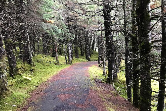 Portage Glacier Cruise and Wildlife Explorer Tour - Turnagain Arm to Potter Marsh: a scenic drive that actually stops for viewing time