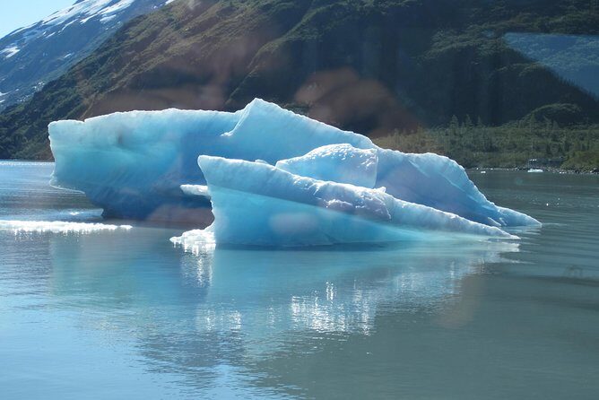 Portage Glacier Cruise and Wildlife Explorer Tour - The pace and small-group factor: why guides like Matt, Gary, and Jack matter