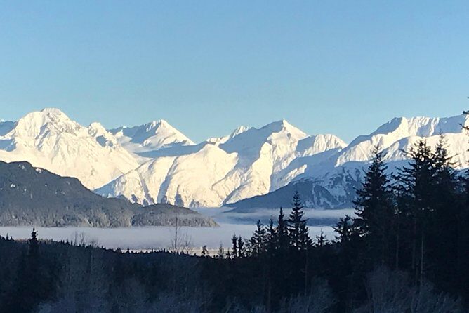 Portage Glacier Cruise and Wildlife Explorer Tour - Weather changes and cruise hiccups: what to expect if the day shifts