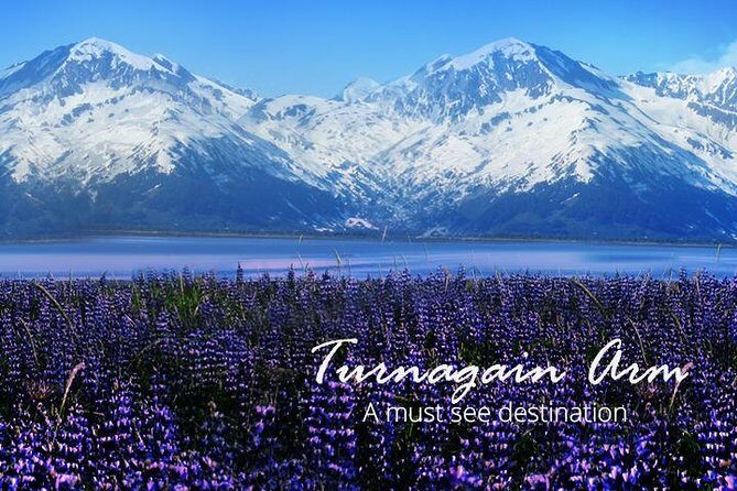 Portage Glacier Cruise and Wildlife Explorer Tour - Who this tour suits best in Anchorage