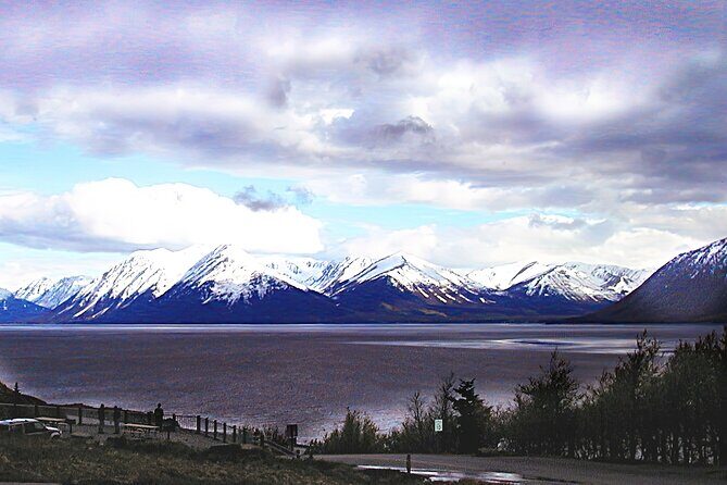 Private Half-Day Nature Tour from Anchorage - Beluga Point: 180-degree views, spotting scopes, and bore tide timing
