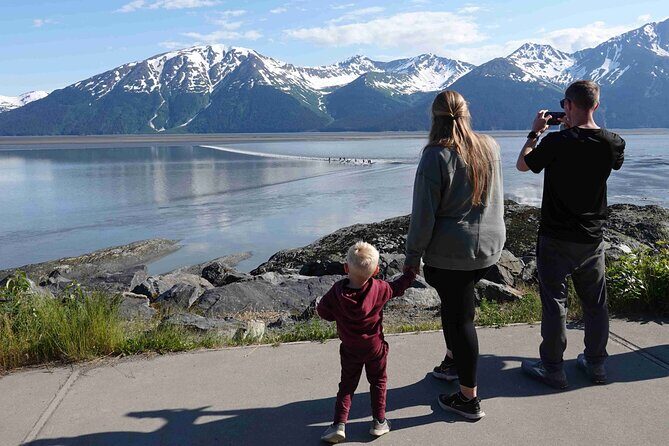 Private Scenic Turnagain Arm Glacier Tour from Anchorage - A Private Turnagain Arm Day That Mixes Wildlife and Ice