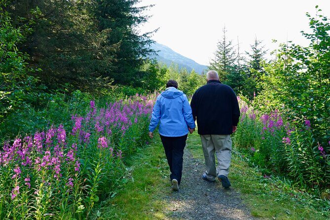 Private Scenic Turnagain Arm Glacier Tour from Anchorage - Why Shane-Style Guiding Makes the Difference