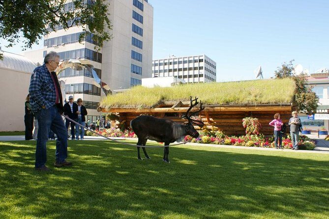 Private Tour: Anchorage 3-Hour Tour - Anchorage’s Biggest Story: Geology, Earth, and Why Views Matter