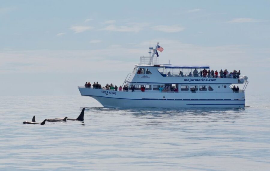Seward: Resurrection Bay Orca Quest Cruise - Orca-season strategy: how the captain finds pods
