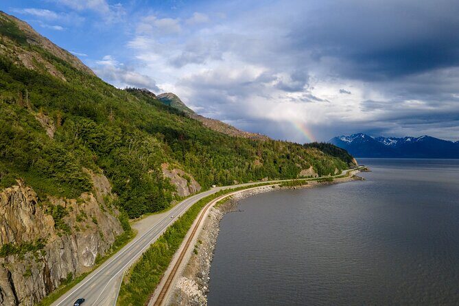 Seward to Anchorage Cruise Transfer & Wildlife Tour - Why this Seward-to-Anchorage day feels different