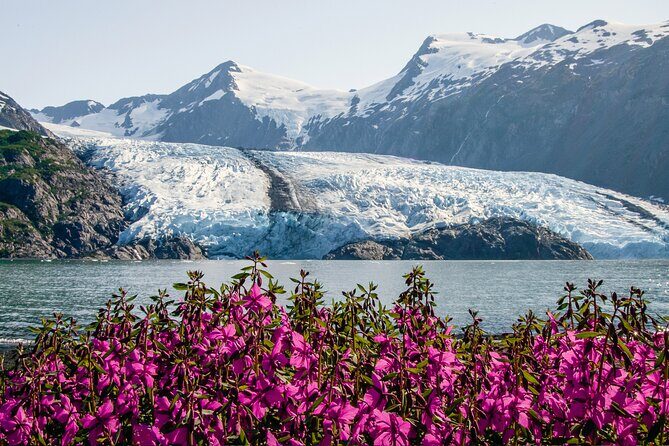 Seward to Anchorage Cruise Transfer & Wildlife Tour - Byron Glacier Trail: the guided walk that turns views into steps