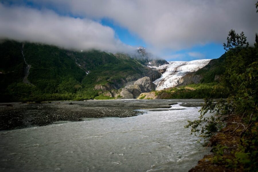 Seward: To Anchorage Full Day Transit Tour with Port Pickup - Price and Value: What You’re Paying for at $225