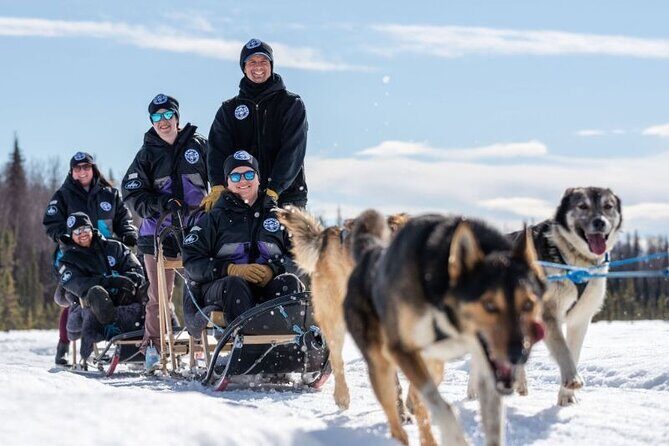 Sled Dog Ride and Scenic Drive from Anchorage - The sled dog ride: 20–30 minutes on a two-person cart with your own musher