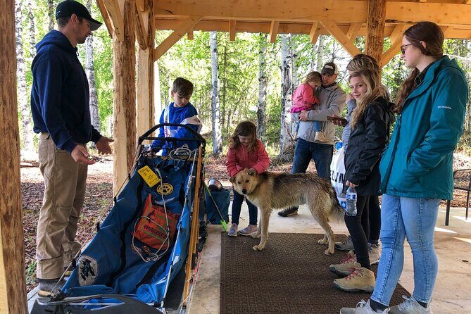 Sled Dog Ride and Scenic Drive from Anchorage - Price and value: what $289 covers (and why the time feels fair)