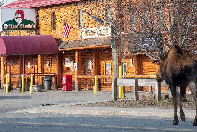 Spenard Neighborhood FOOD & TRUE CRIME Walking Tour - Stop 4: Walking Spenard Road—where the stories hit closest
