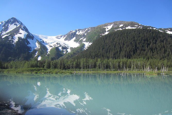Stunning Turnagain Arm Tour: "A Must See Destination" - Getting picked up in Anchorage: why shared transportation works here