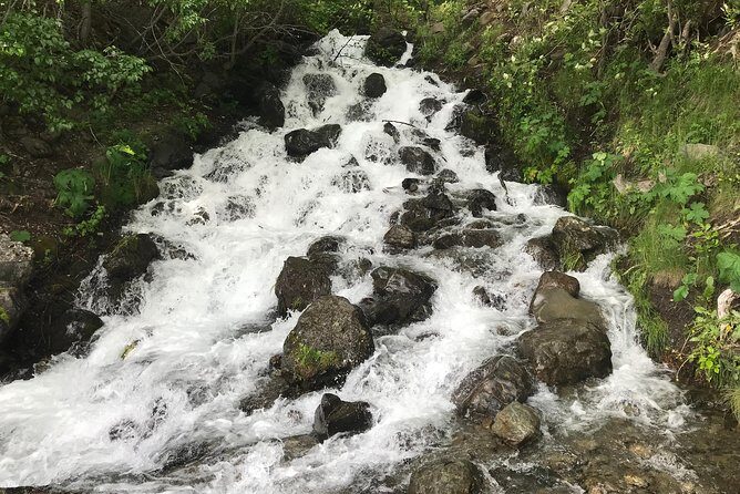 Stunning Turnagain Arm Tour: "A Must See Destination" - The drive that ties it together: Turnagain Arm and the bore tide