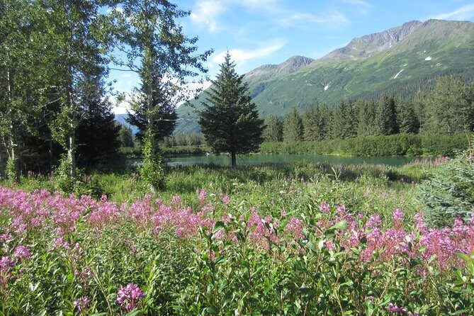 Stunning Turnagain Arm Tour: "A Must See Destination" - Beluga Point: panoramic views with a real wildlife vibe