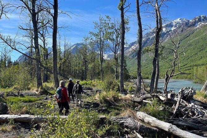 Summer Valley and Forest Hike - Chugach State Park stop: Eagle River’s plants, berries, fungi, and creek views
