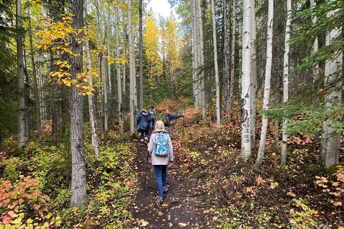 Summer Valley and Forest Hike - Who this tour is best for (and who should skip it)