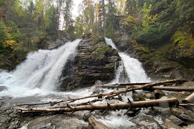 Summer Valley and Forest Hike - Price and value: why $179 makes sense here