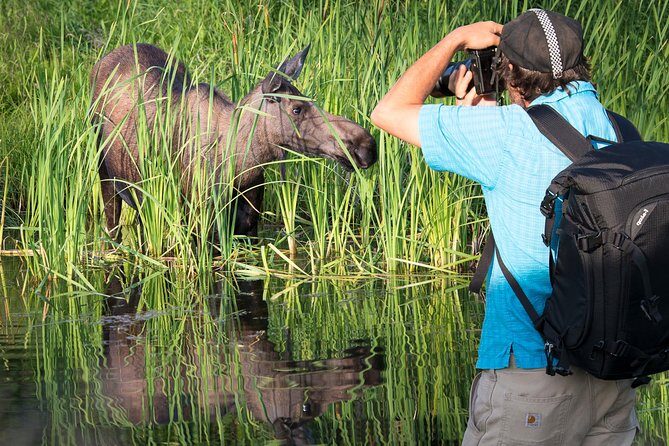 Sunset Photo Safari - Small-group coaching with a pro photographer (the real value)