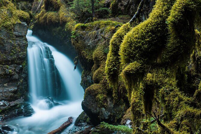 Turnagain Arm Highlights Photo Tour - Key Points That Make This Photo Tour Worth Your Time