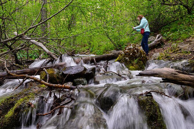 Turnagain Arm Highlights Photo Tour - Why Turnagain Arm Works So Well for Photos