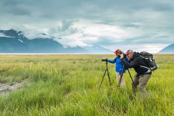 Turnagain Arm Highlights Photo Tour - The 10:00 Start, the Pickup, and the Easiest Way to Begin