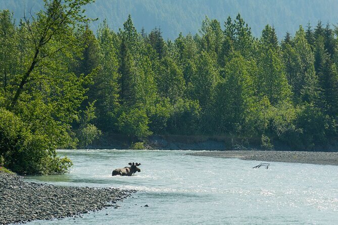 Turnagain Arm Highlights Photo Tour - The Photography Coaching: Why This Tour Feels Practical