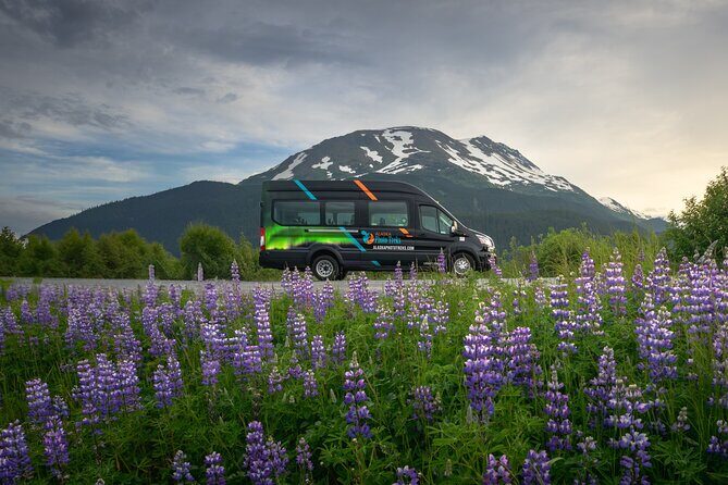 Turnagain Arm Highlights Photo Tour - What the Coffee, Snacks, and Natural History Add
