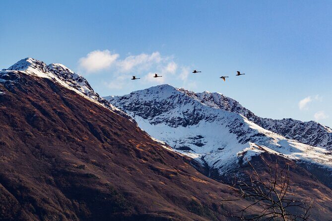 Turnagain Arm Sightseeing Experience and Wildlife Tour - Falls Creek and the return to Anchorage: fitting the last scenic note in