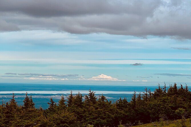 Turnagain Arm Sightseeing Experience and Wildlife Tour - Comfort and small-group details that matter in real life