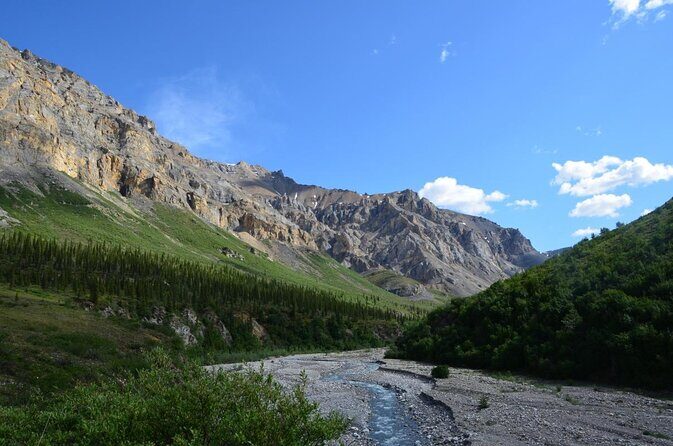 Ultimate Alaskan Adventure: Ocean Wildlife to Interior Wilderness 9 Day/8 Nights - Key points before you go